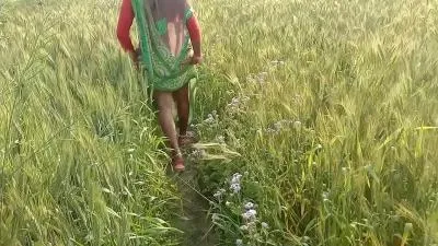 Indian village bhabhi sex in hindi