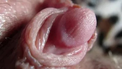 Extreme close-up on clit head pulsating